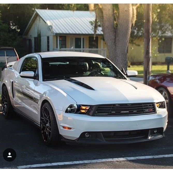 Profile of Jon Silverman