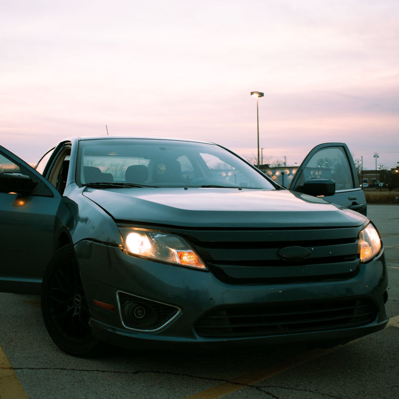 Profile of Bailey DeGaro