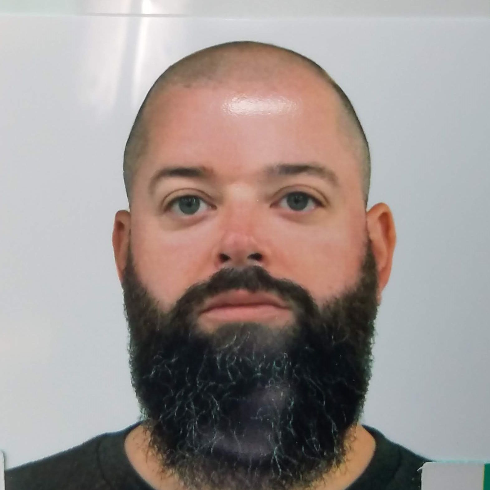 Profile of Steve Morrison