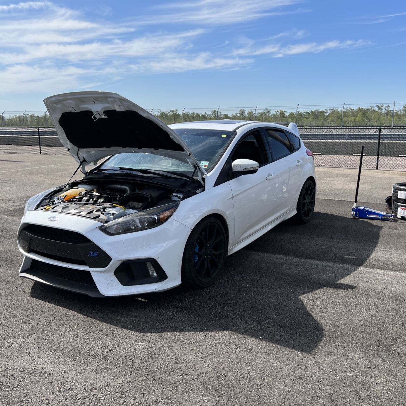 Profile of Mark Fritscher