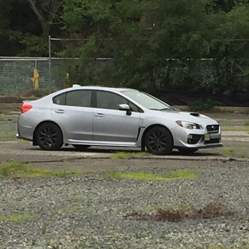 Profile of Adam Pogorzelski