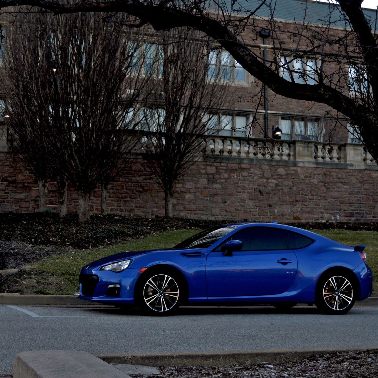 Profile of Syed Kareem