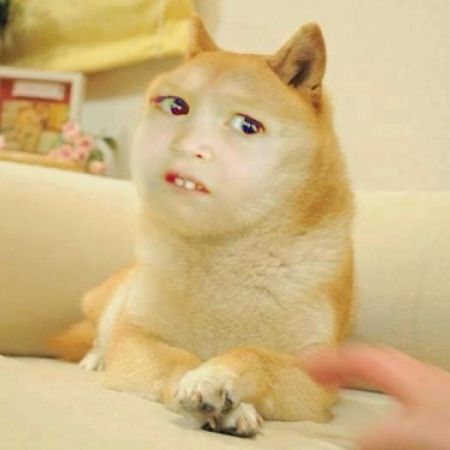 Profile of Ben Andrea