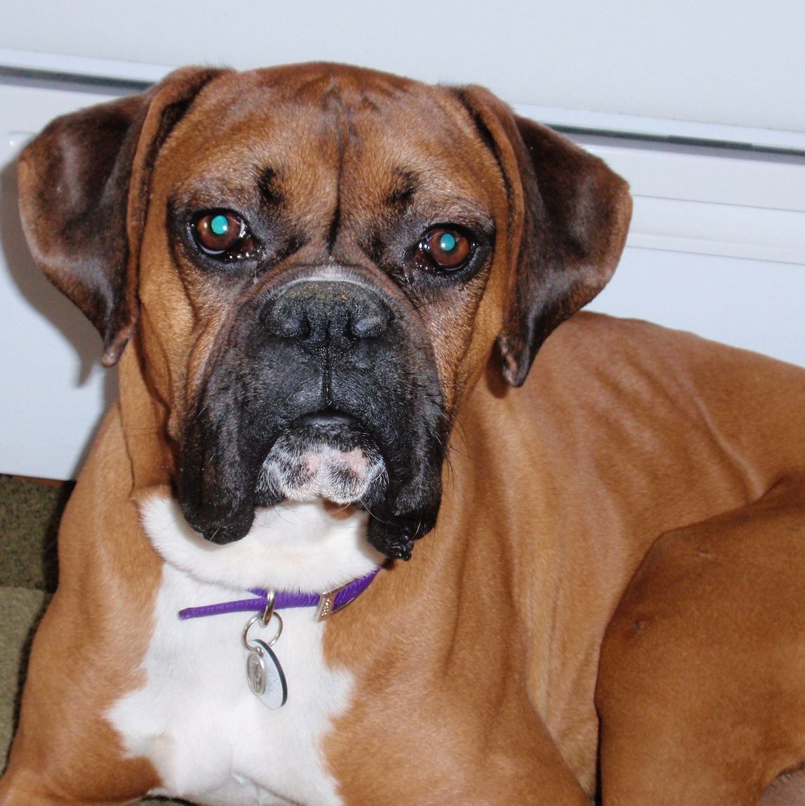 Profile of Mark Irvin