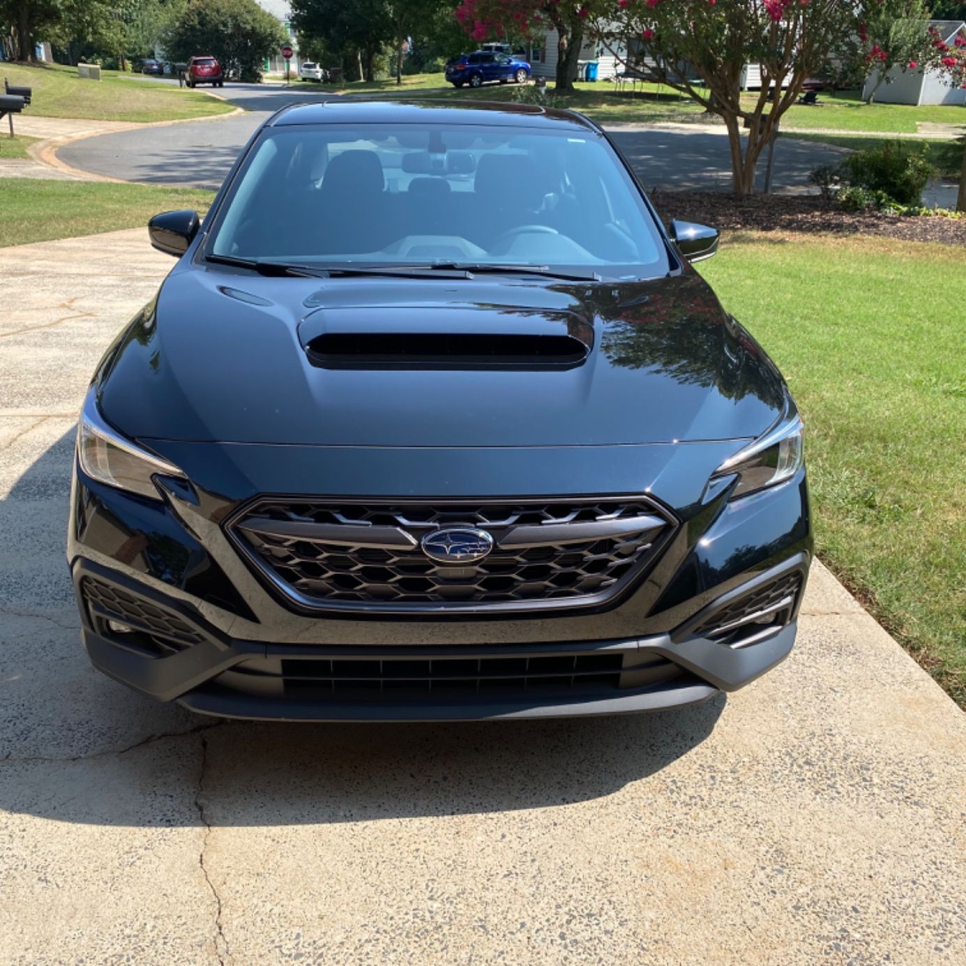 Profile of Rick Hooper