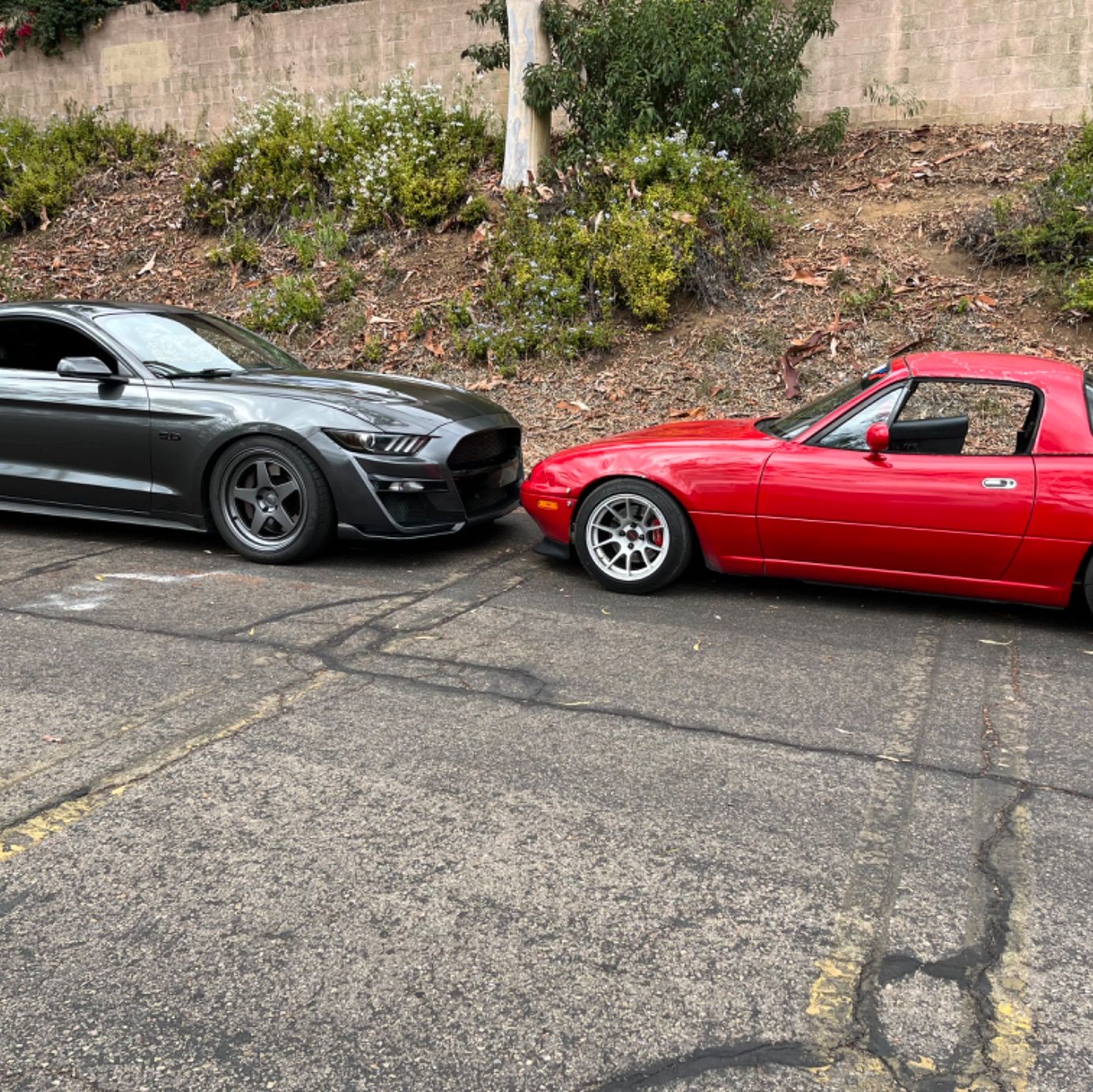 Profile of Joshua Allen