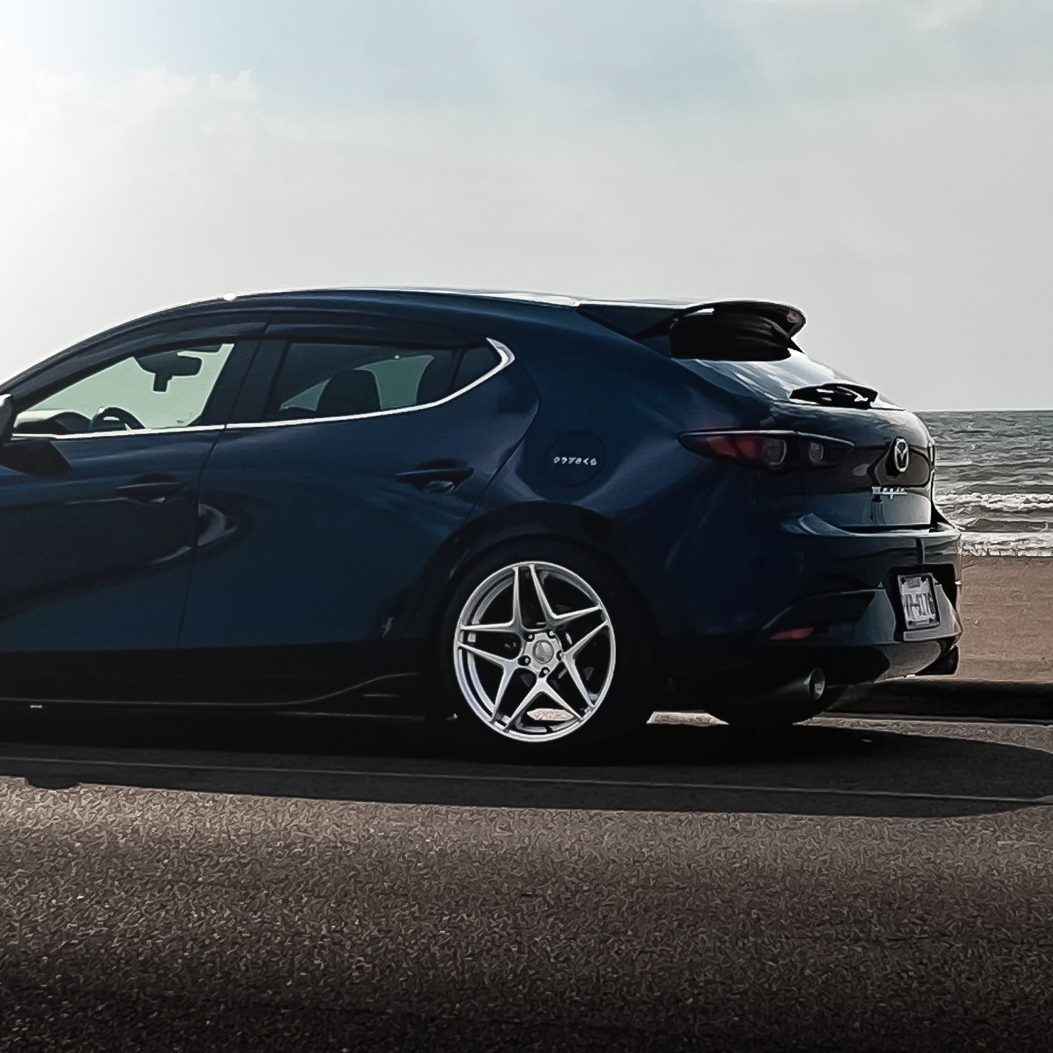 Profile of Shawn Nguyen