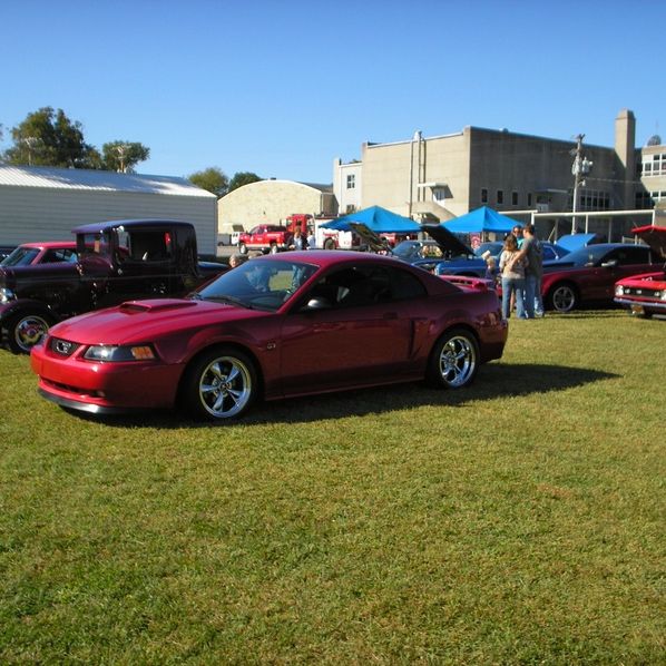 Profile of Thomas Willis