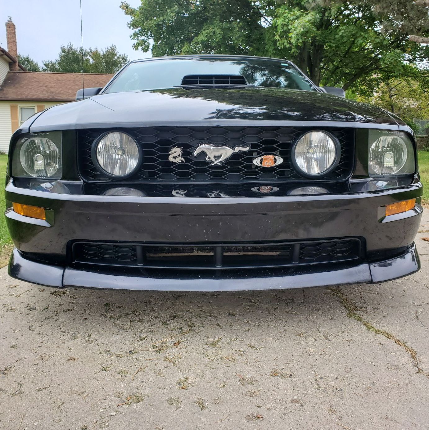 Profile of Dave Clark