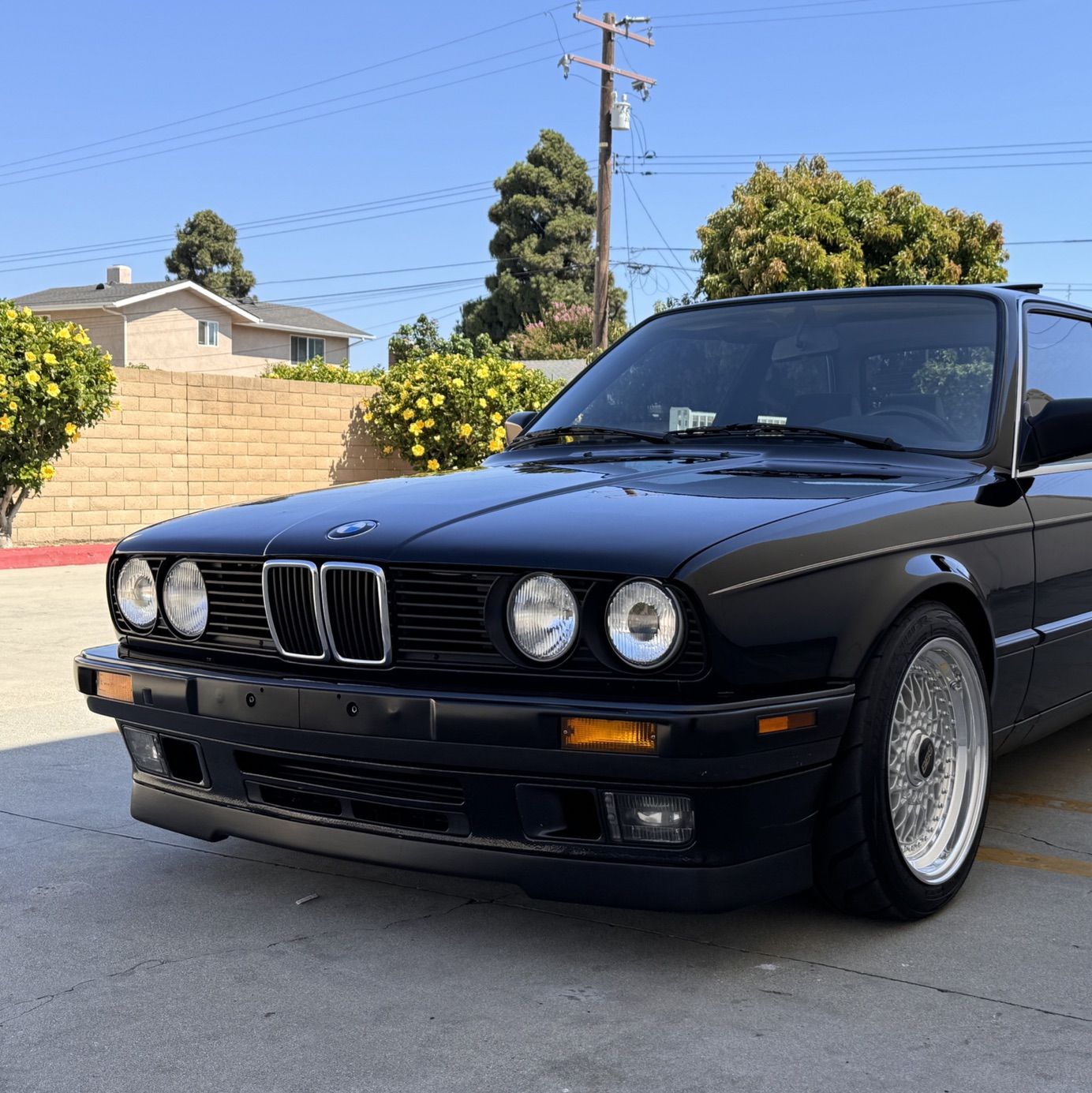 Profile of Sal Soujah