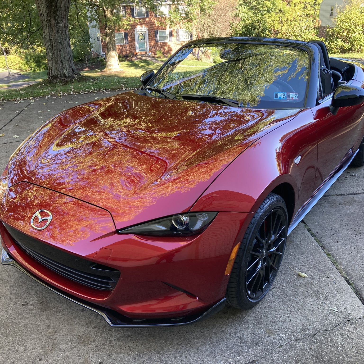 Profile of Scott Davis