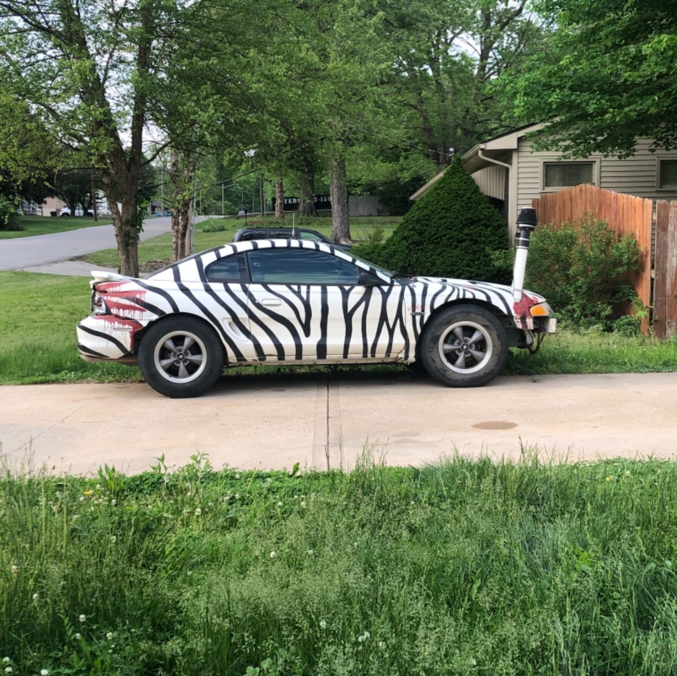 Profile of Albert Schmidt