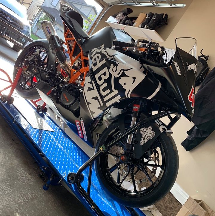 Profile of Lonny Bancescu