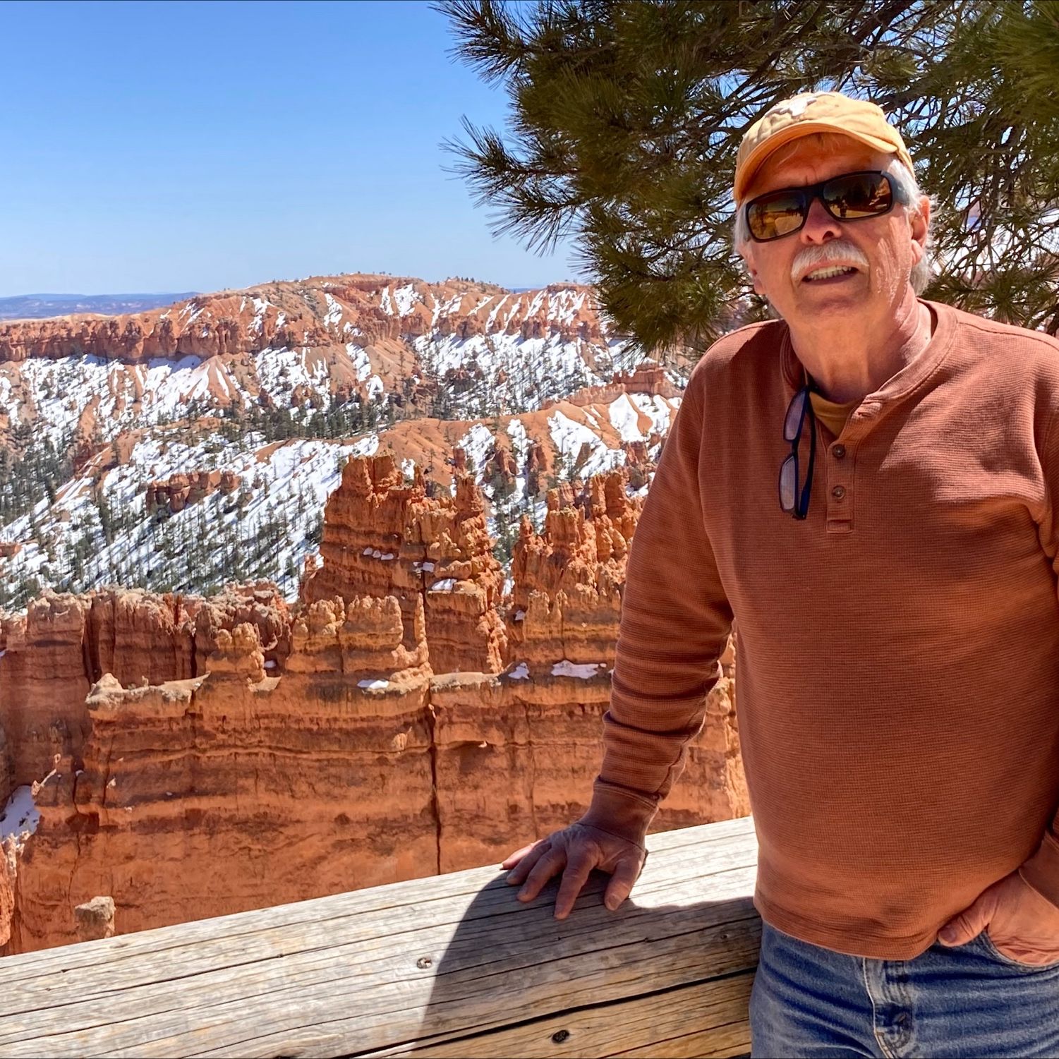 Profile of Andy Collins