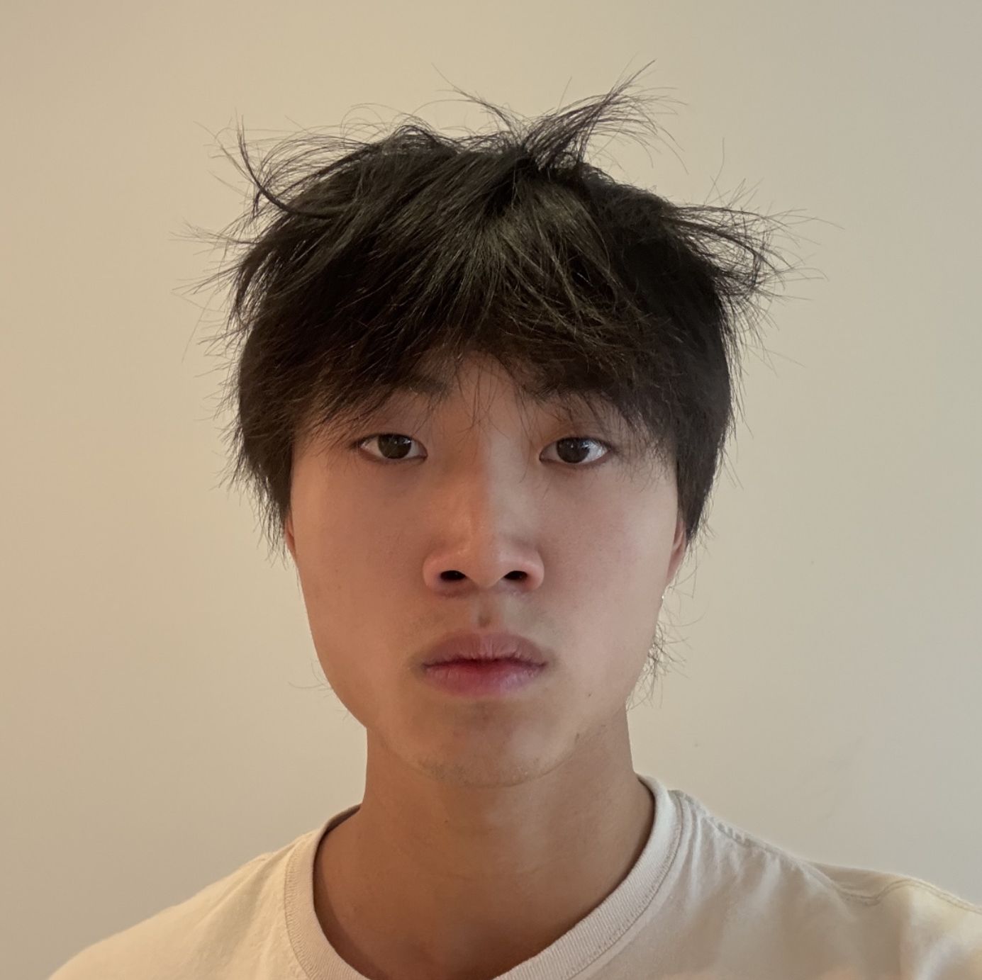 Profile of Austin Nguyen