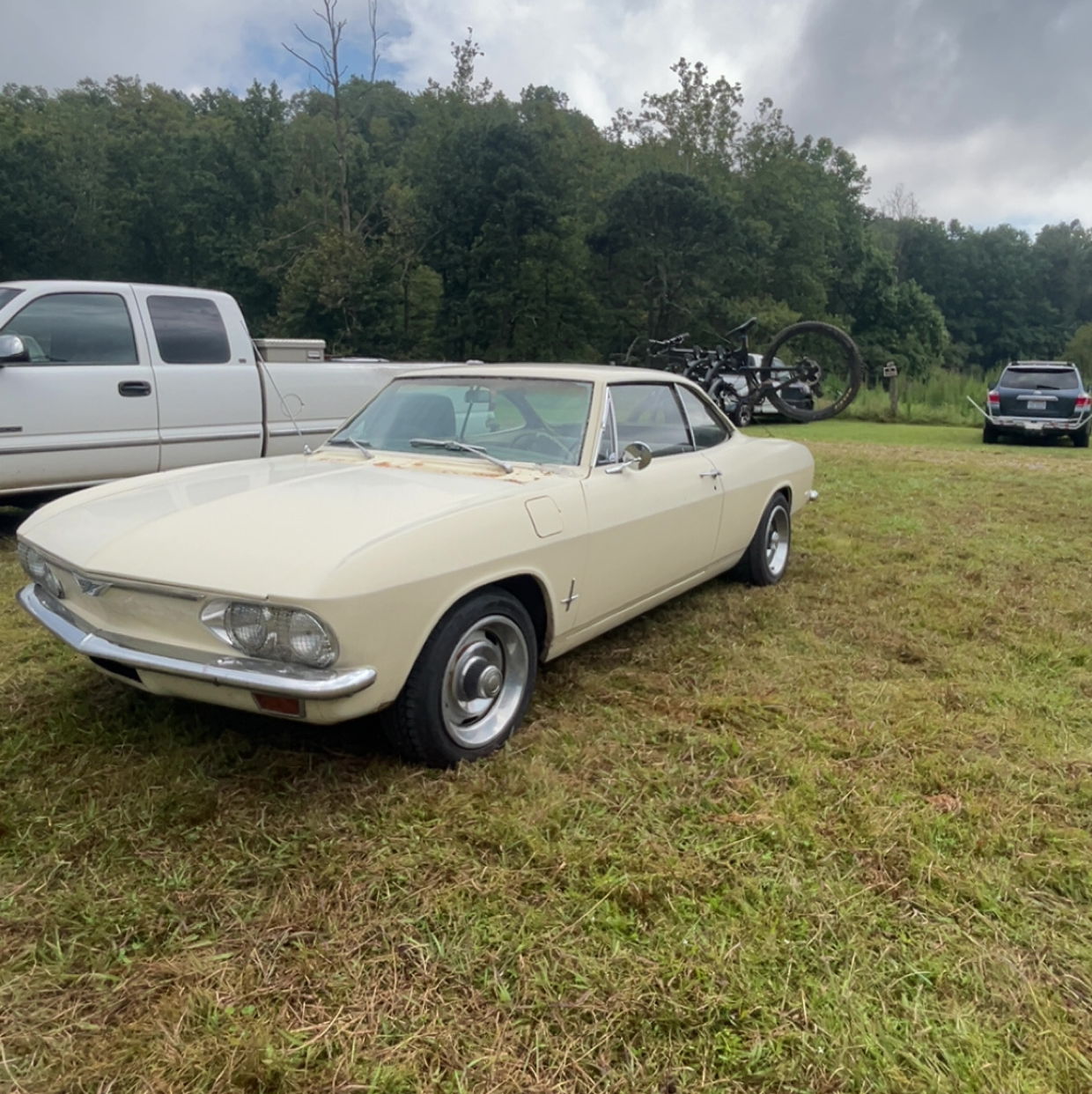 Profile of Miles Felty