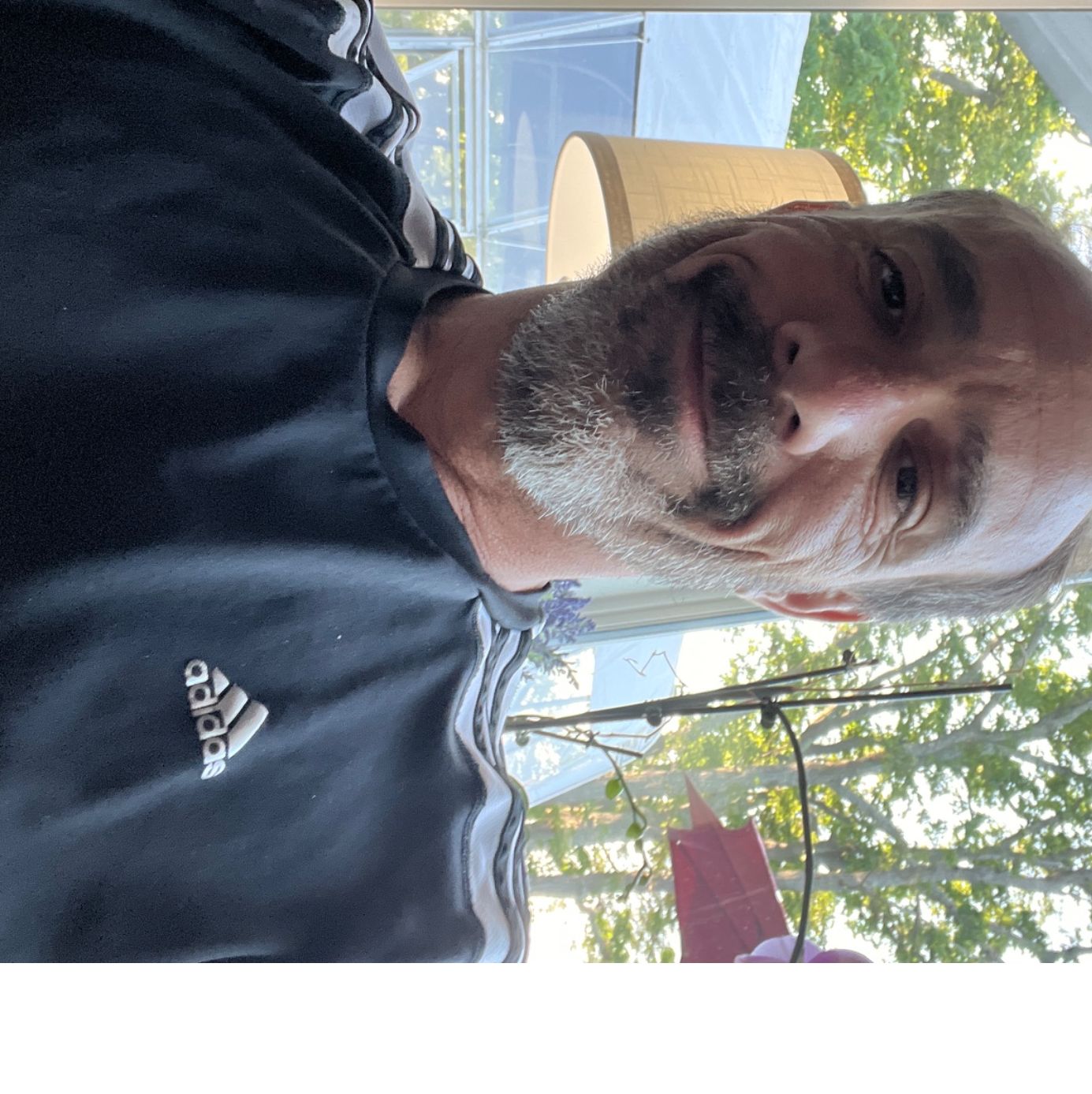 Profile of Louis Longo