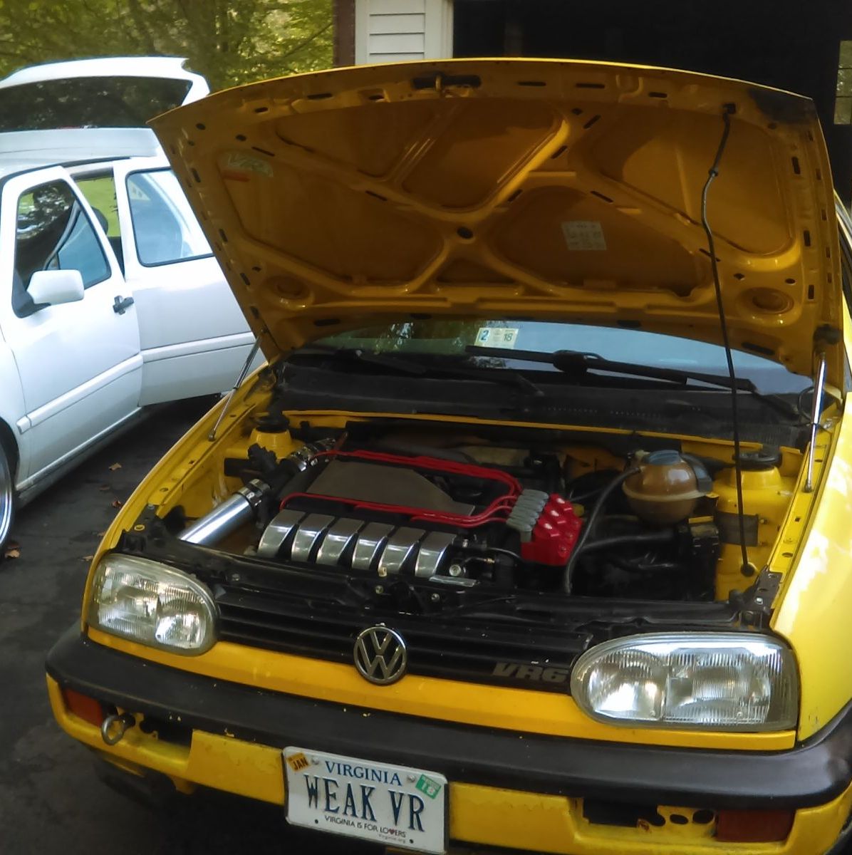 Profile of Jason Hauser