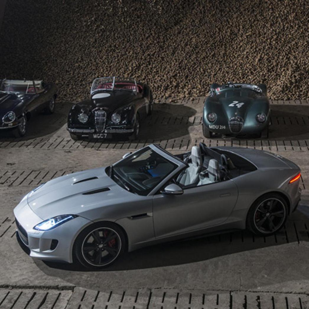 Profile of Brandon Brooks