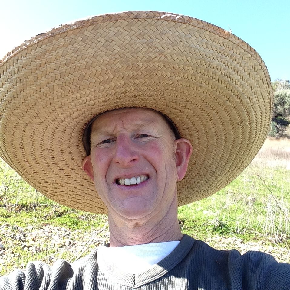 Profile of Don Curtiss