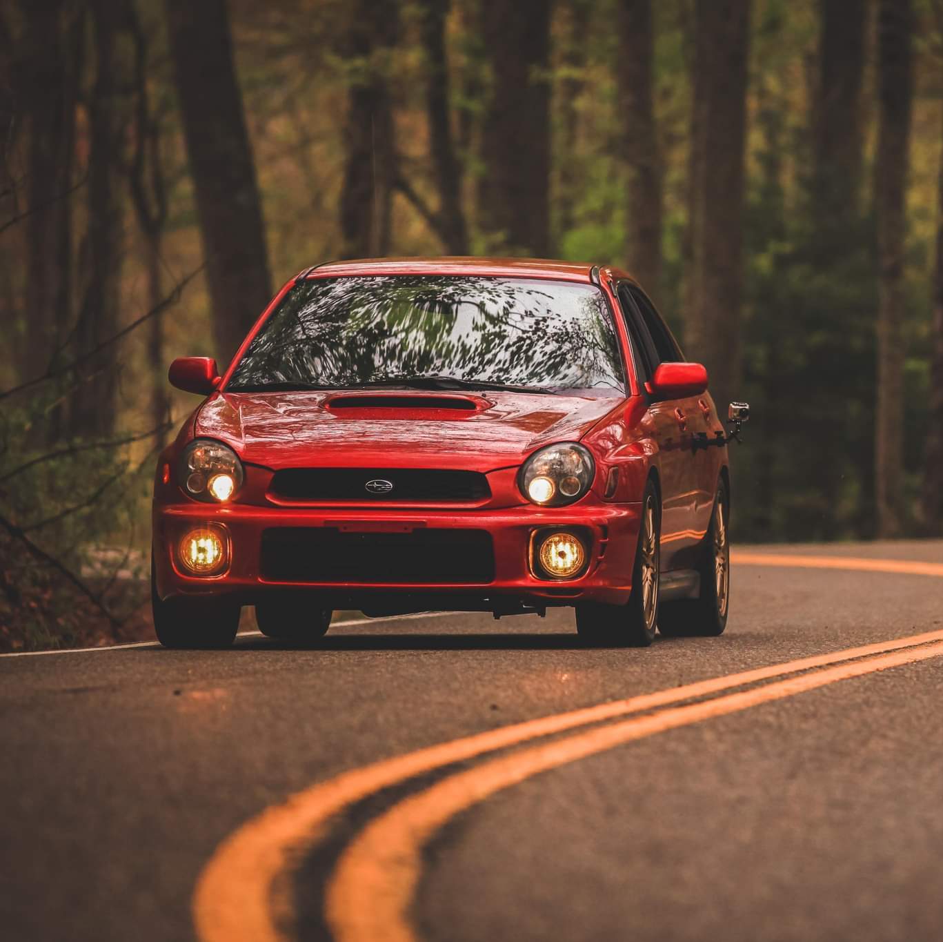 Profile of Jonathan Wallace