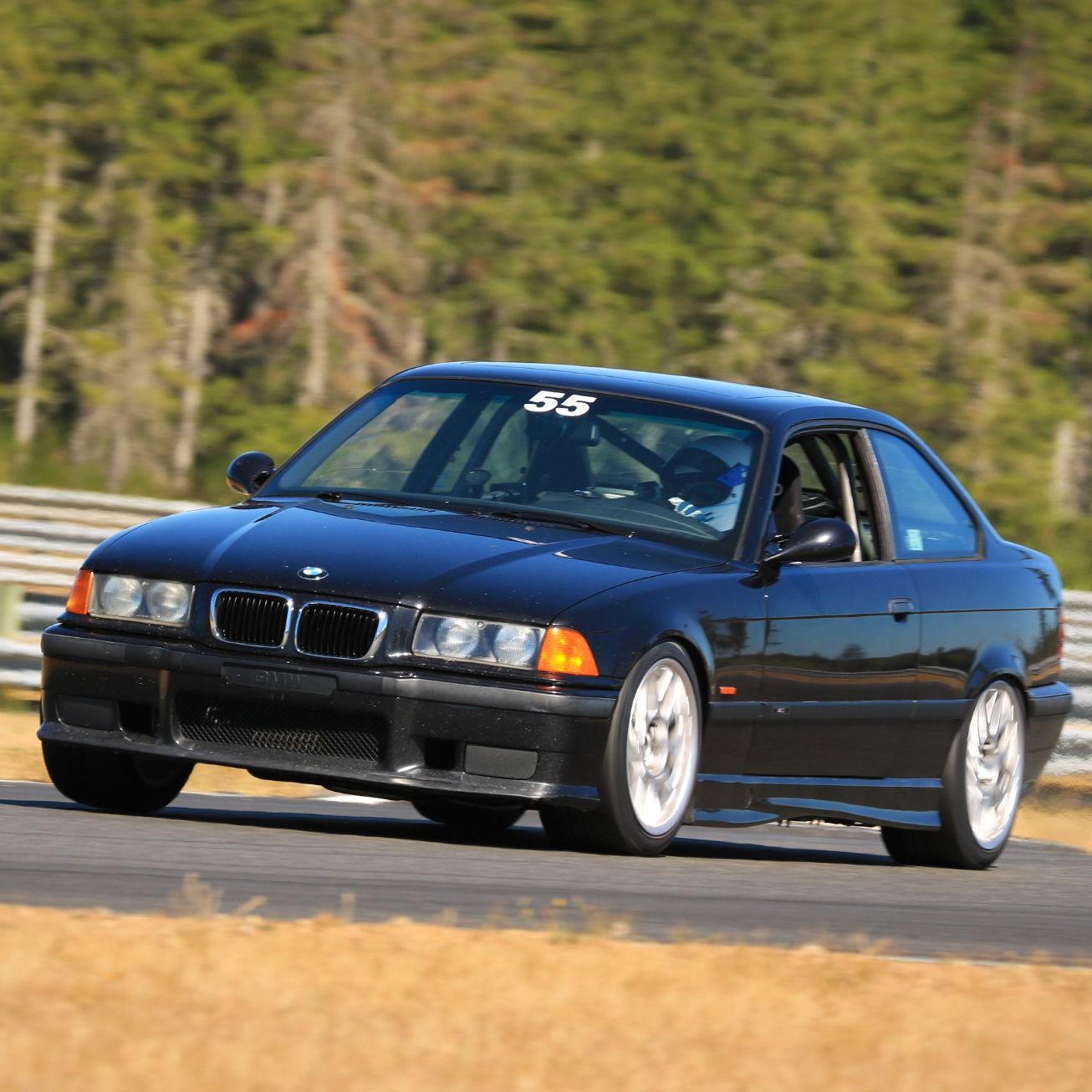 Profile of Drew Savas