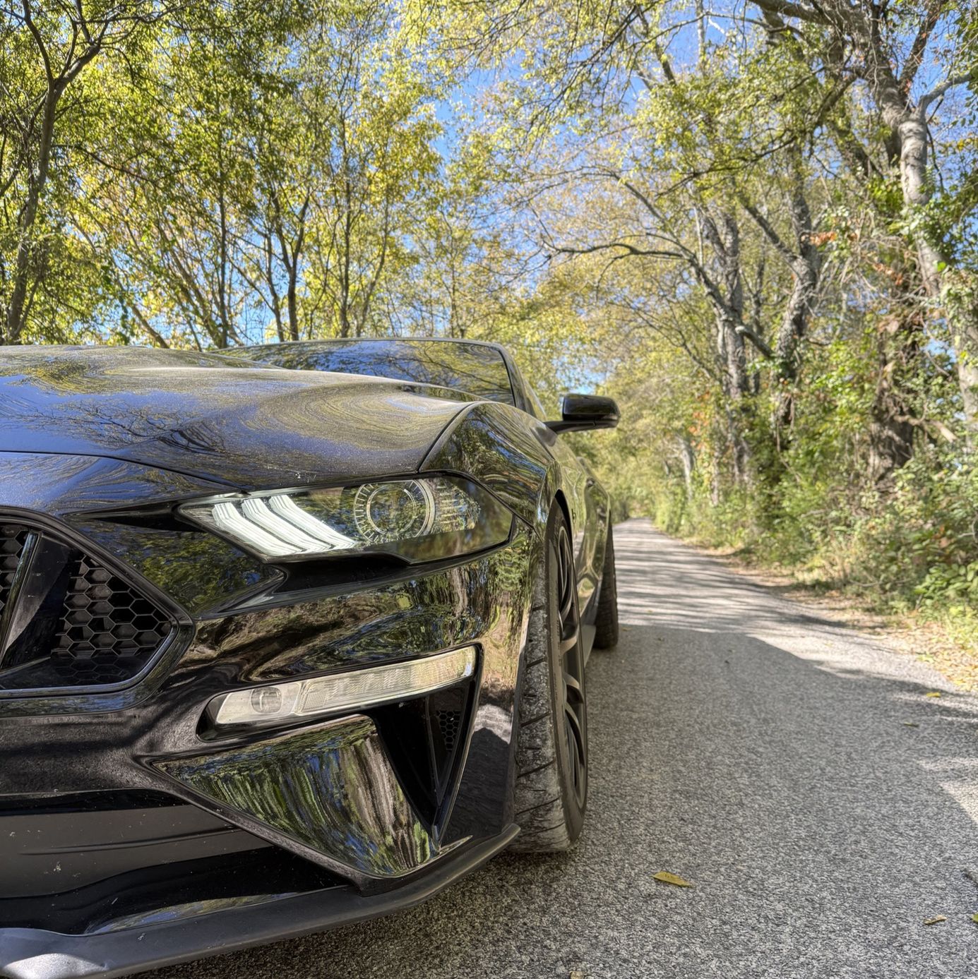 Profile of Logan Sulcer