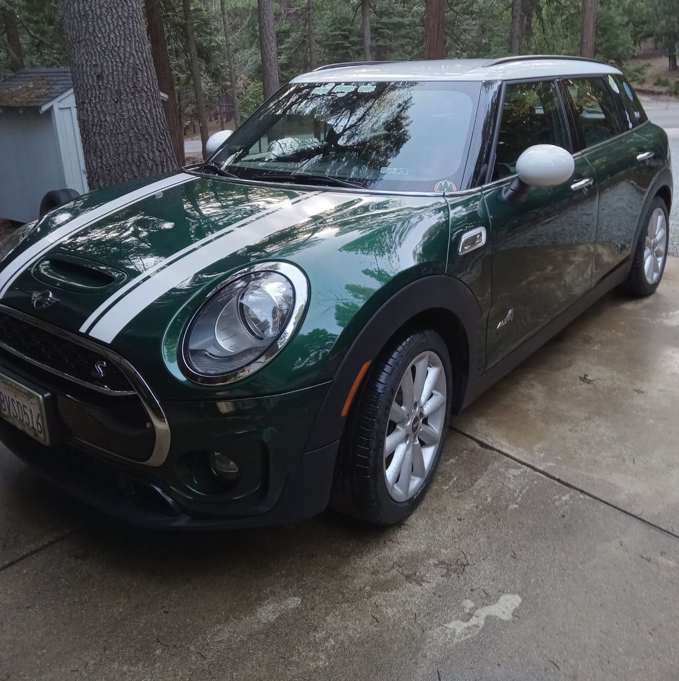 Profile of Tamra Walker