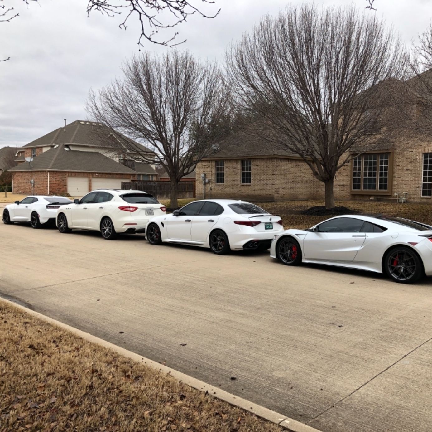 Profile of Shane Kelley