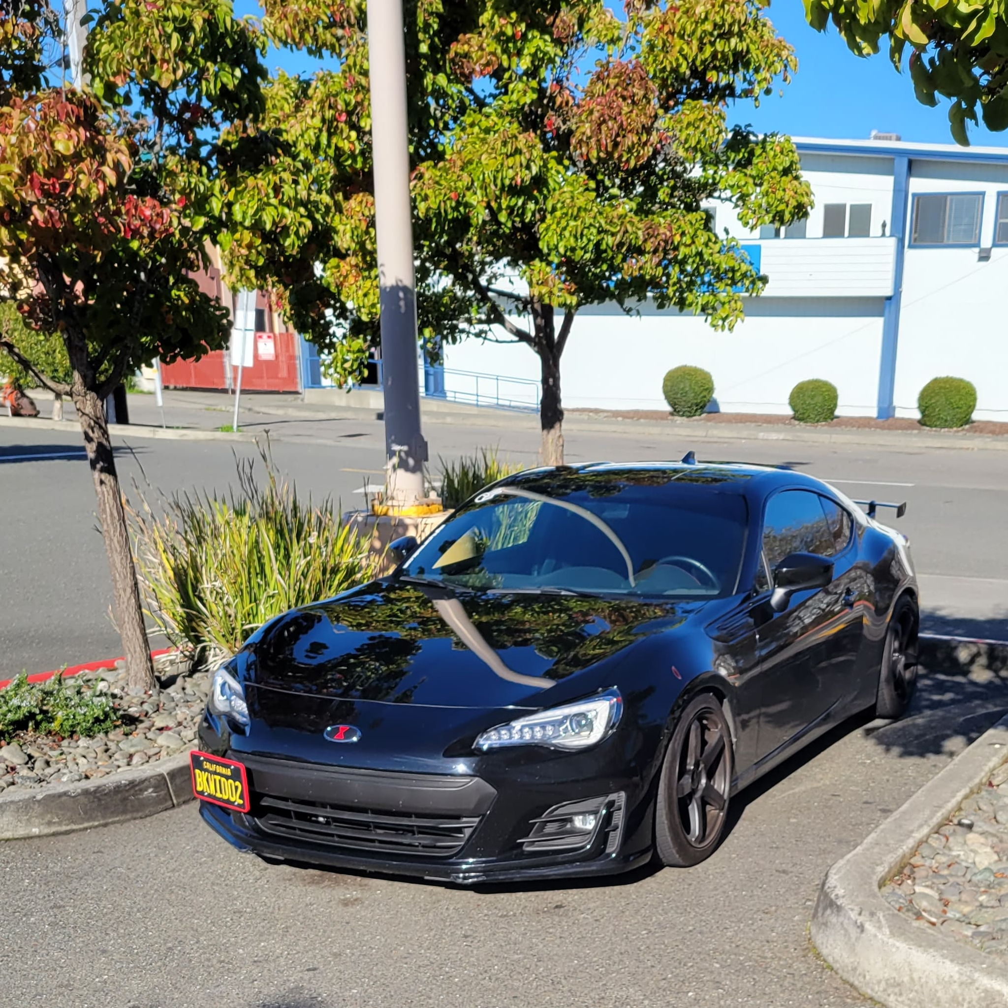 Profile of Mike Hendriks