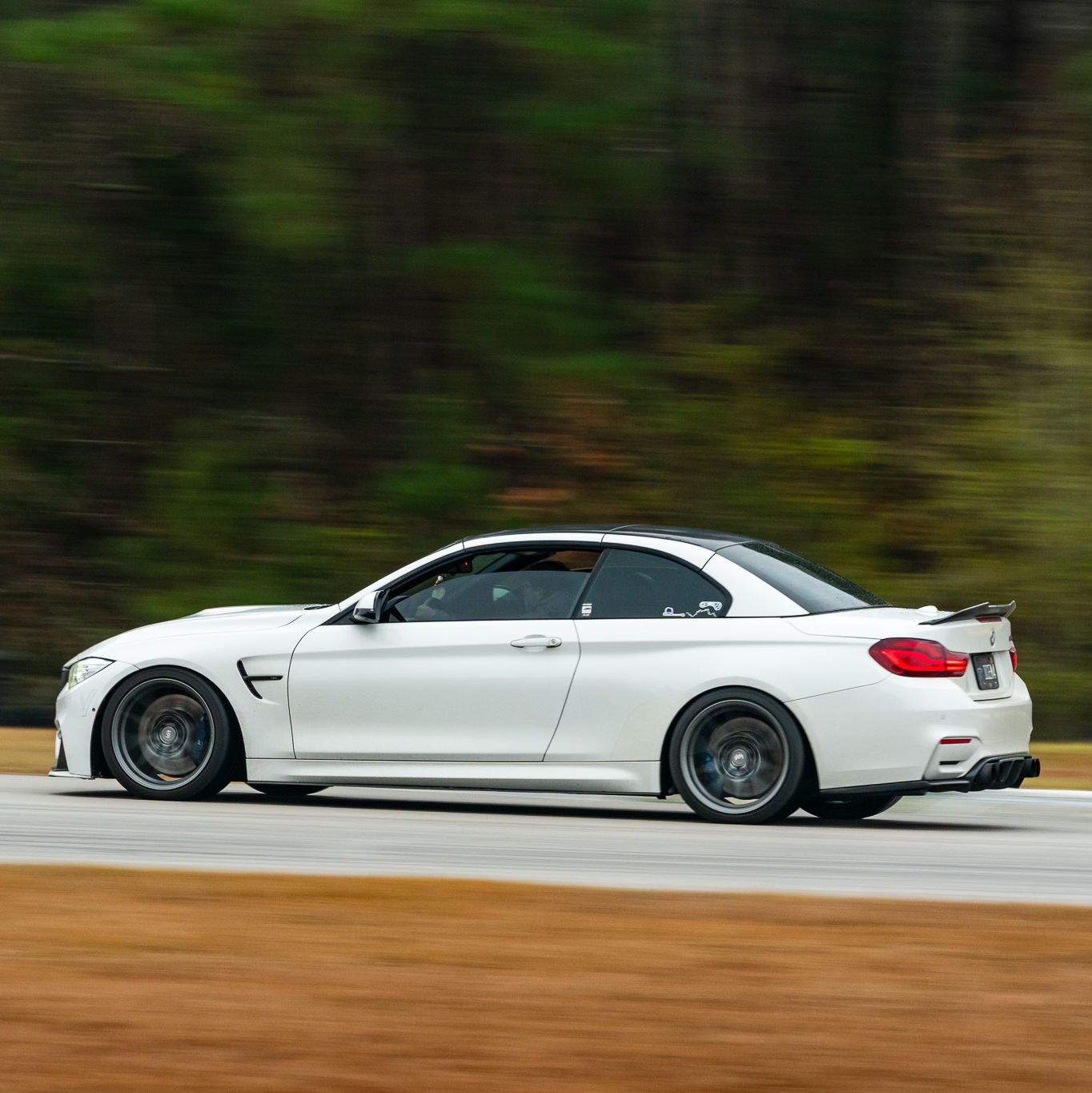 Profile of Travis Meloche