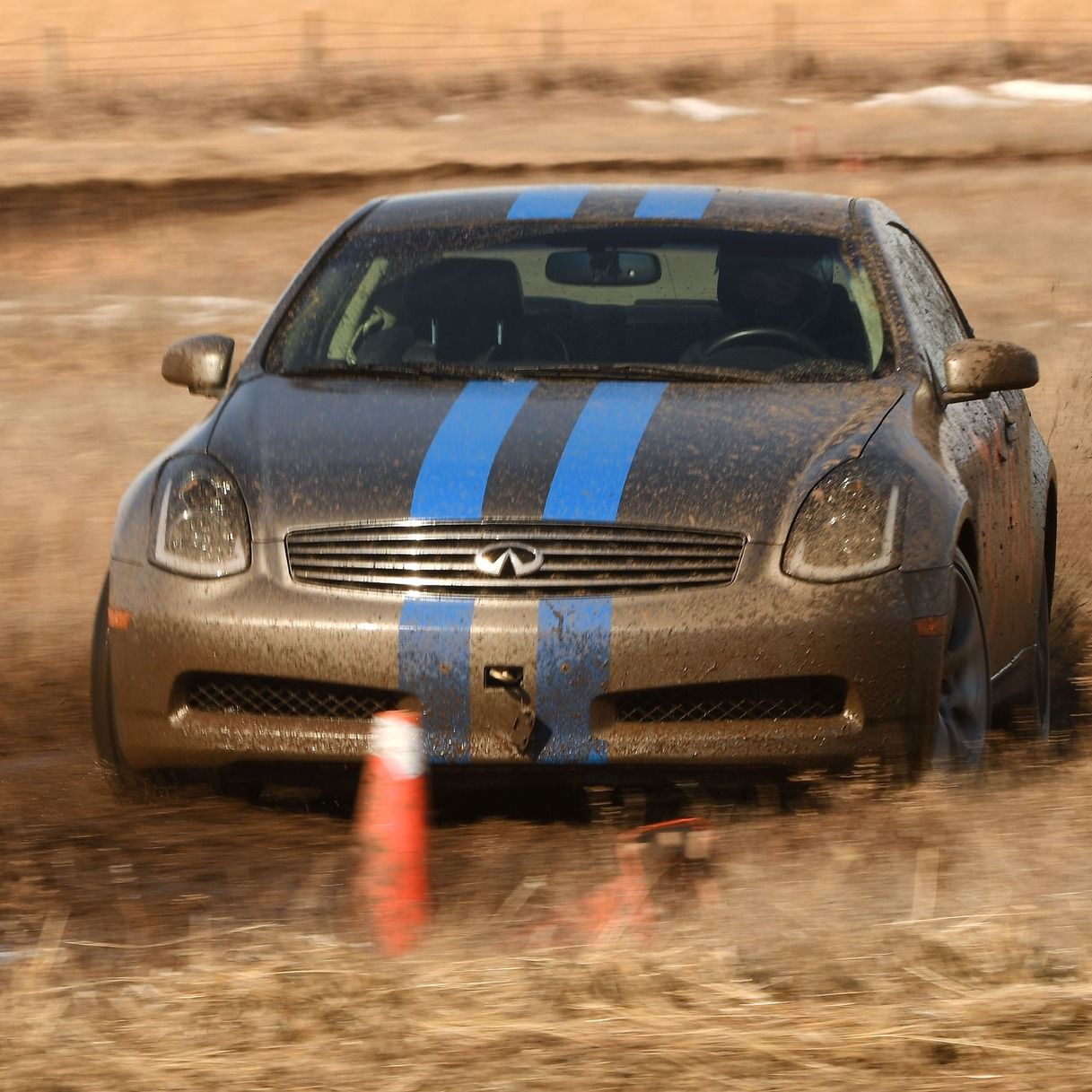 Profile of Ryan Wolf