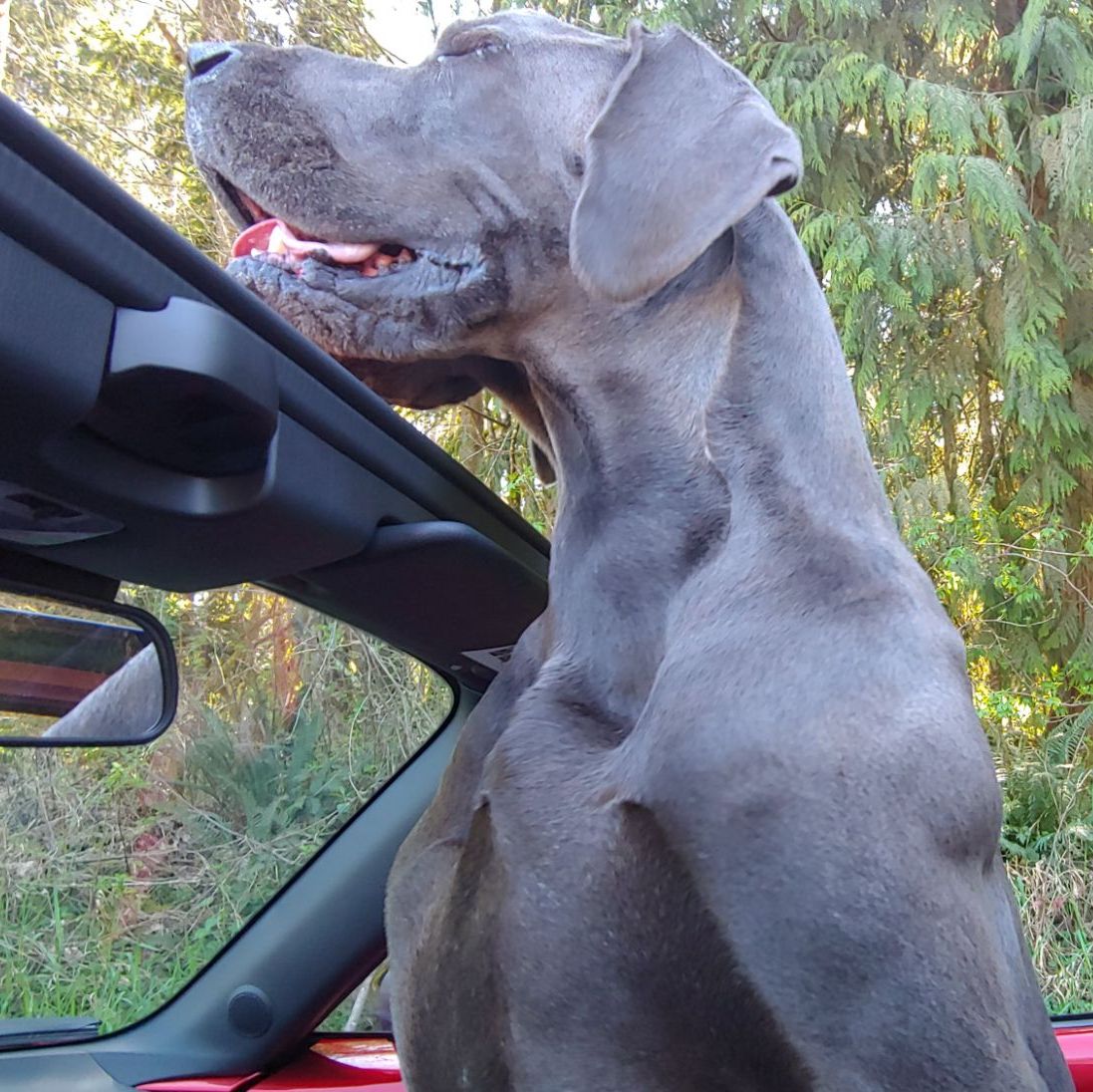 Profile of Monica Porucznik