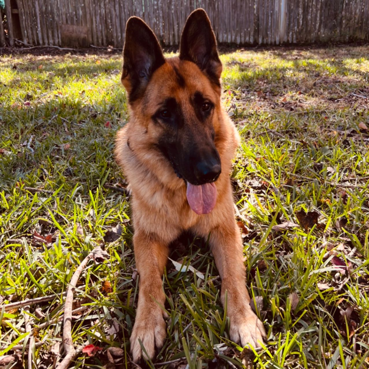 Profile of Joseph Carlascio