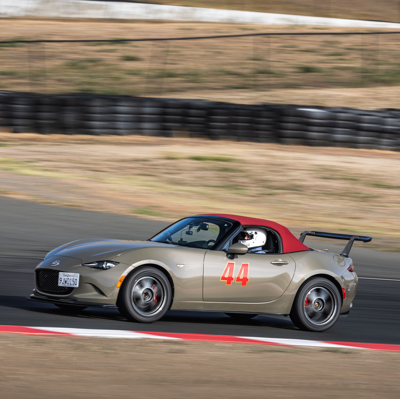 Profile of Dmitriy Markelov