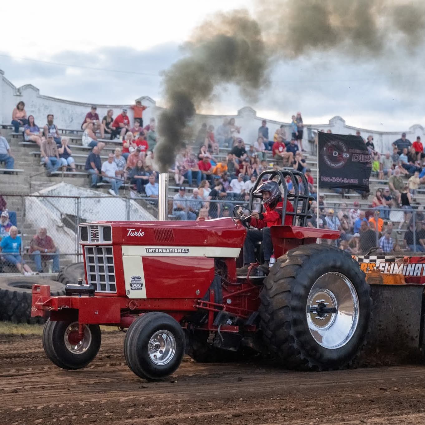 Profile of Robert Fliess