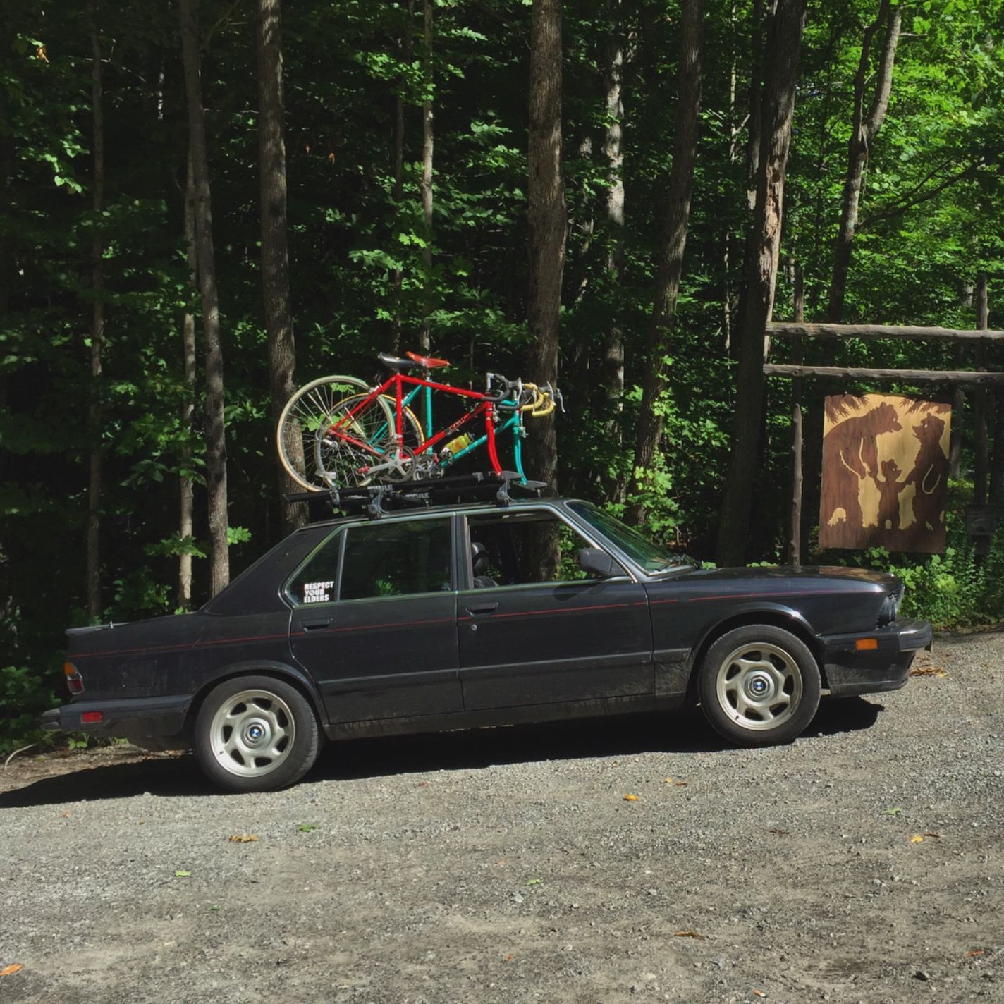 Profile of Lyndon Julien-Sehl