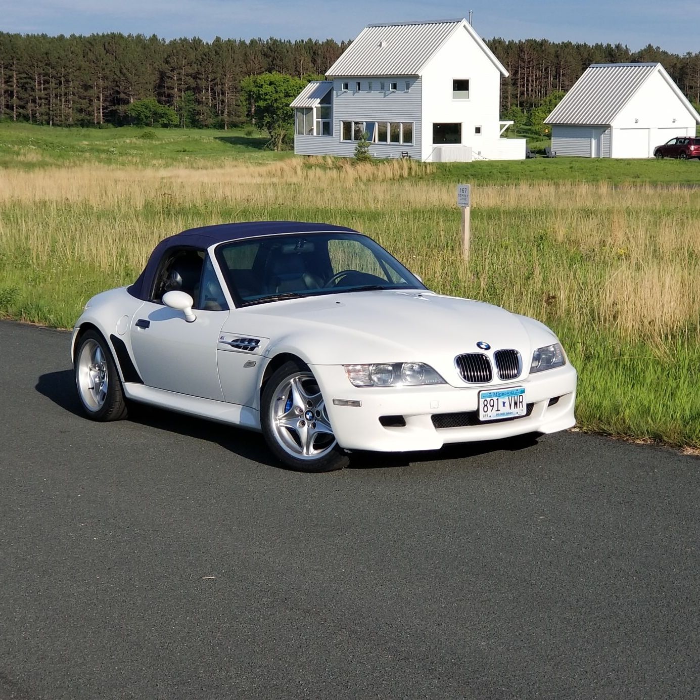 Profile of Michael Gregori