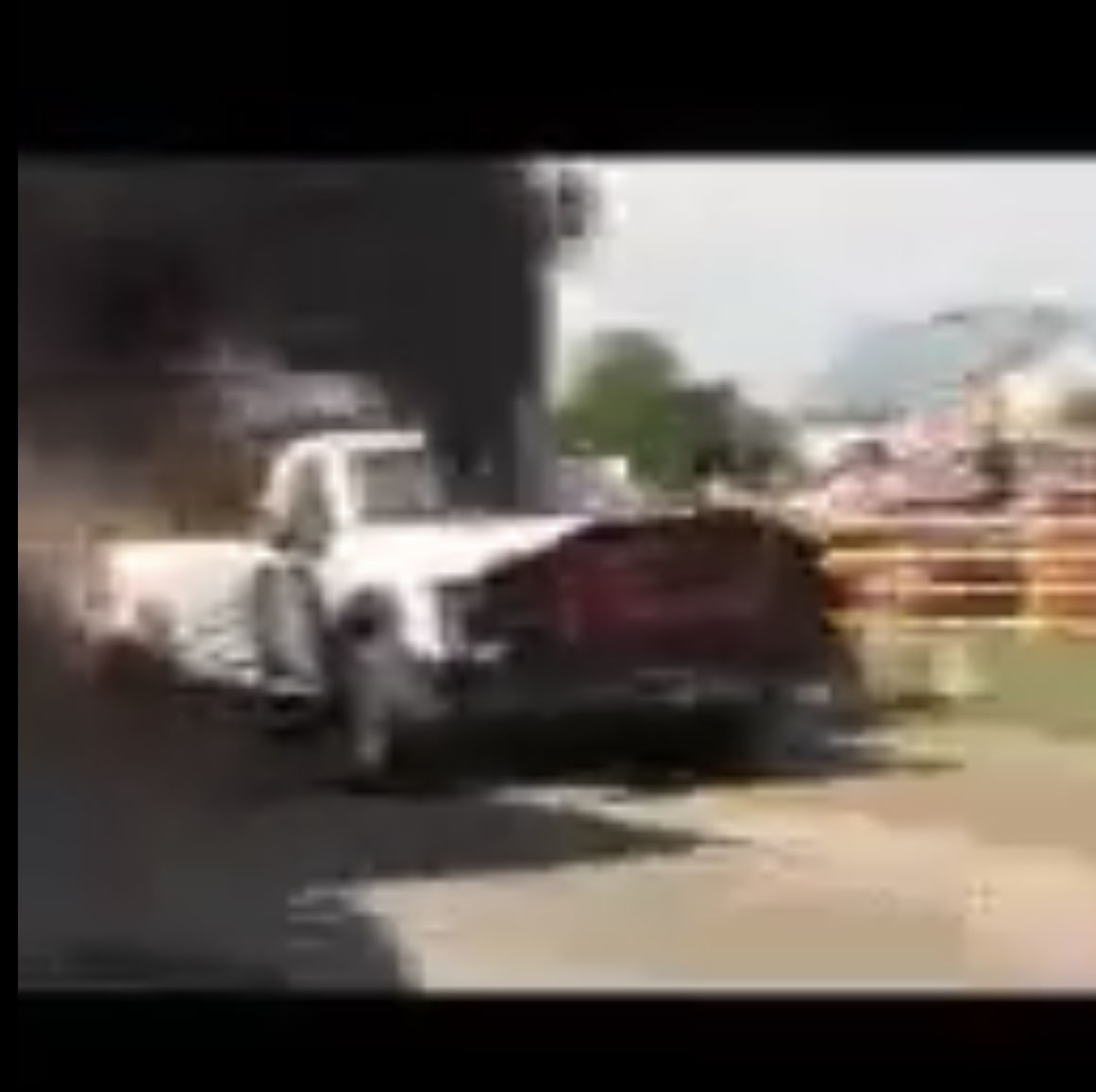 Profile of Michael Wilson