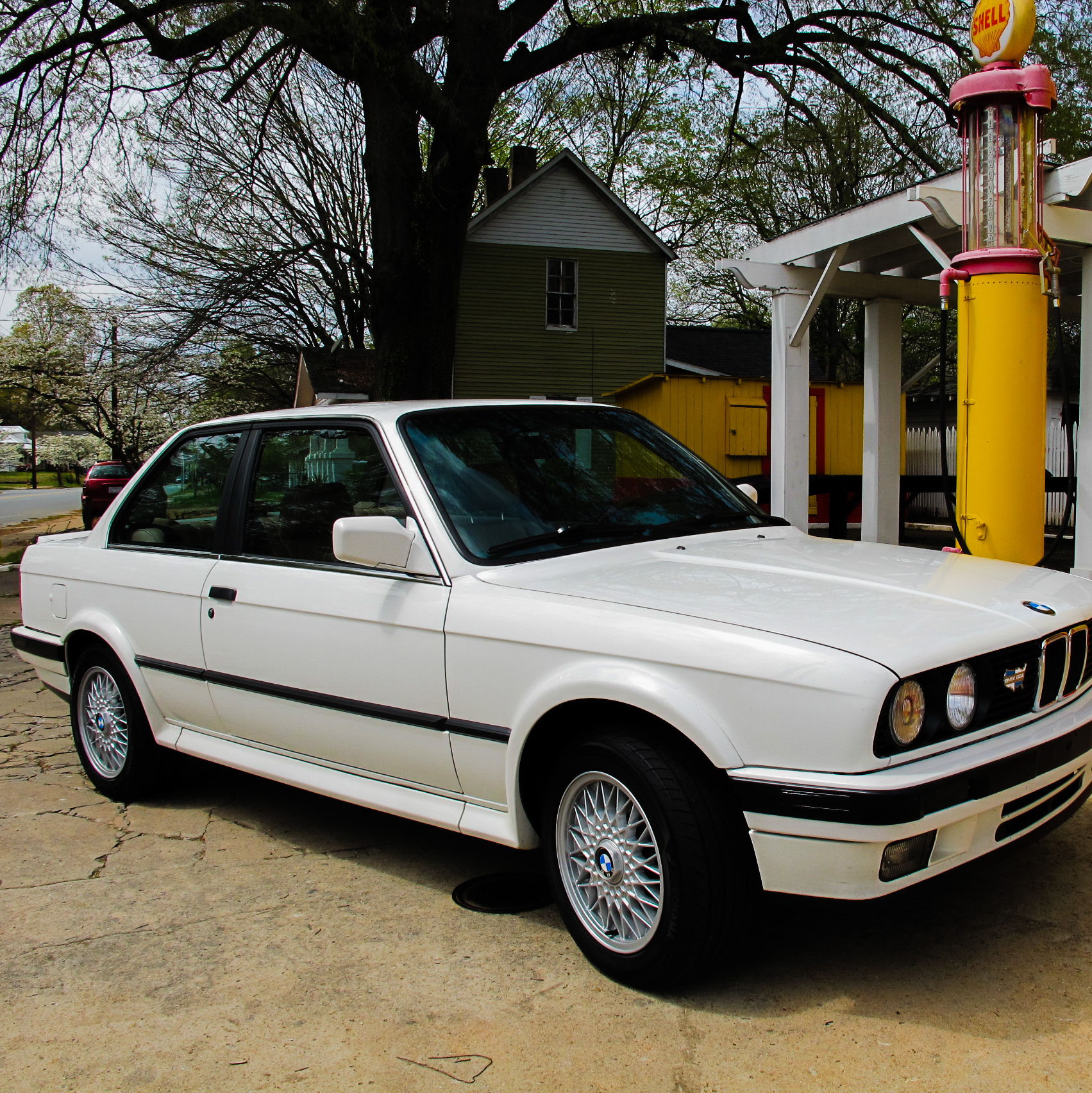 Profile of Rick Wilson