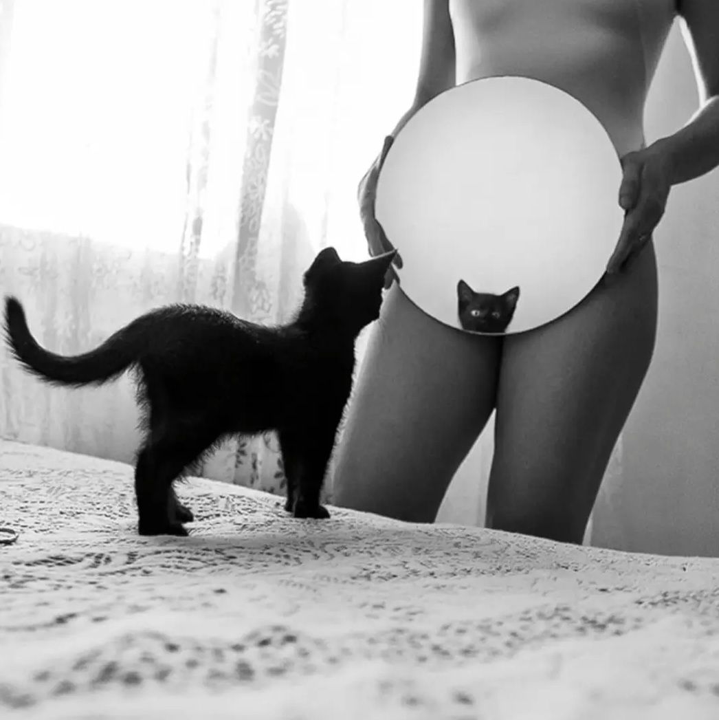 Profile of Jeff Chester