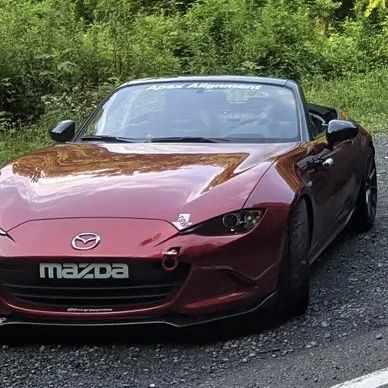 Profile of Heather Thrasher