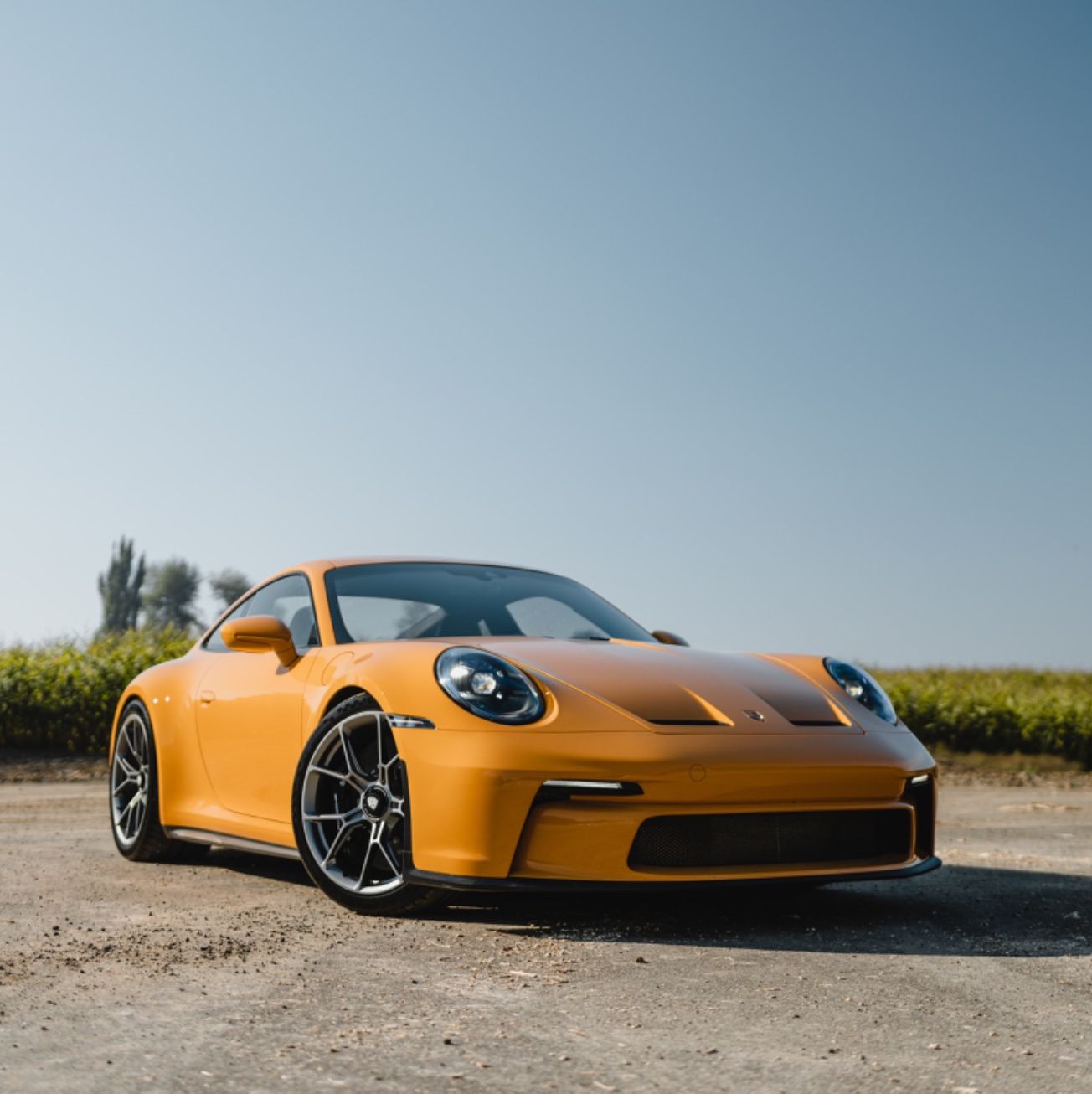 Profile of Bryan Schiavoni