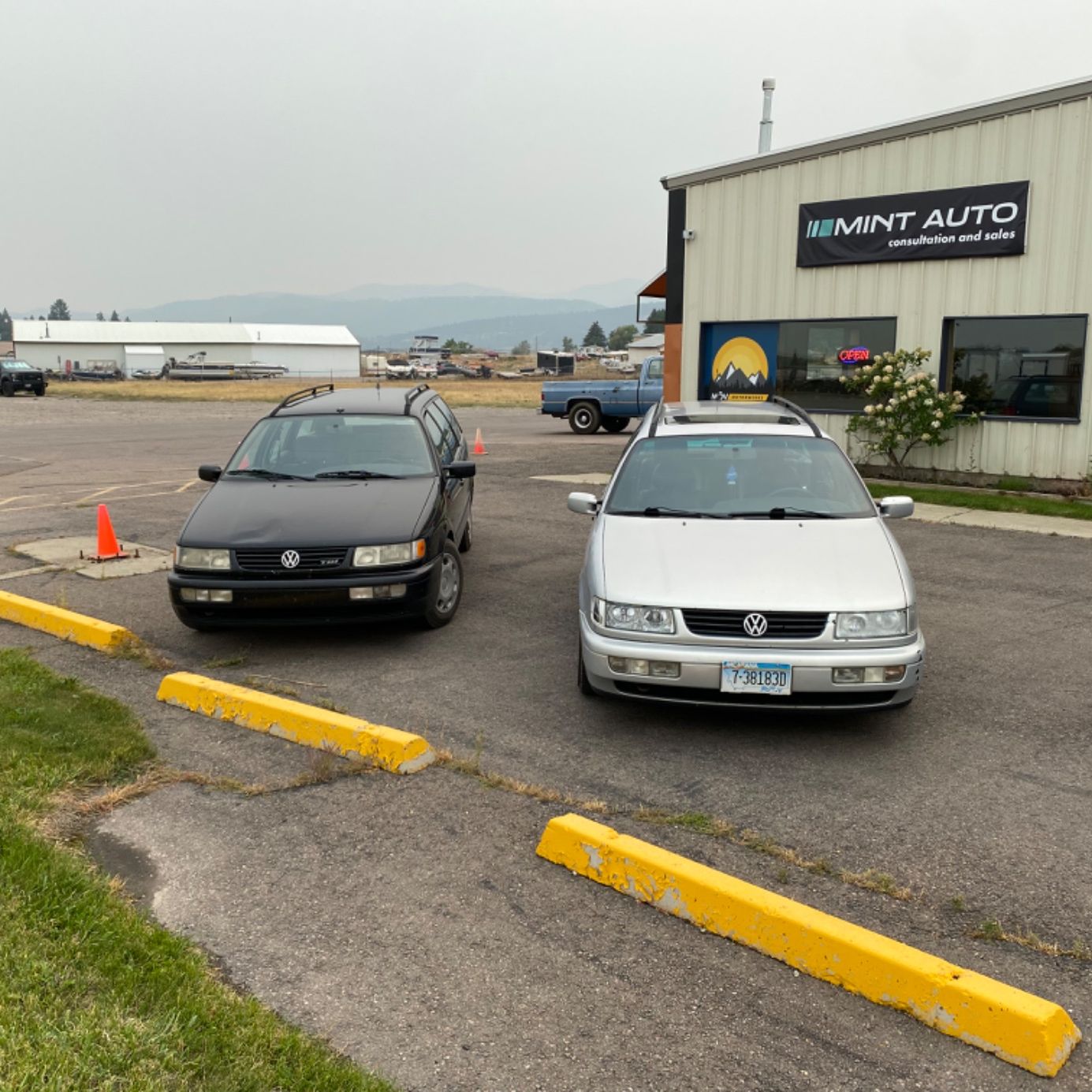 Profile of Sage Folkman