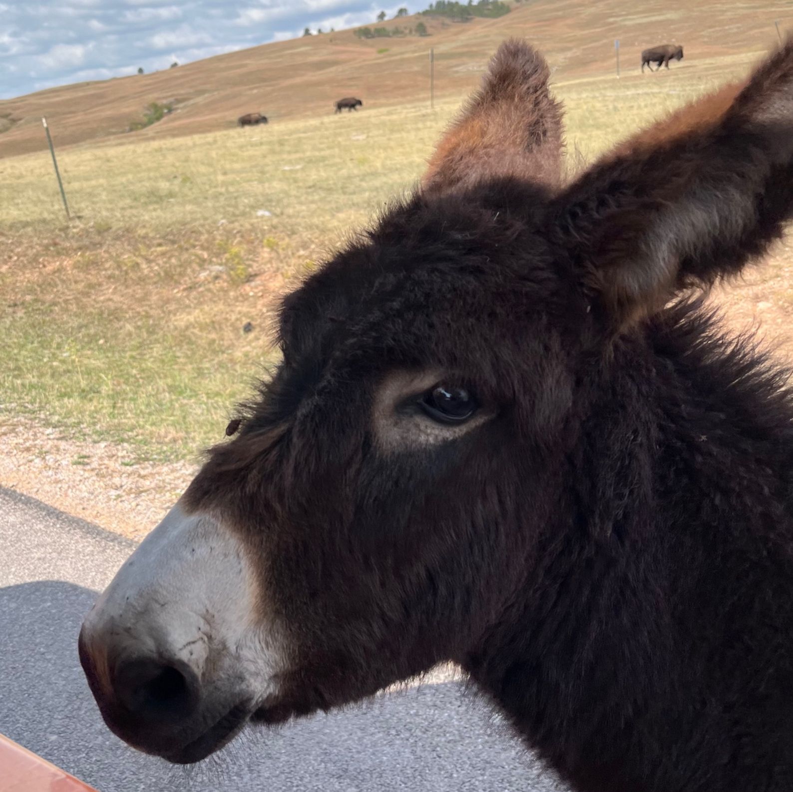 Profile of Curtis Staples