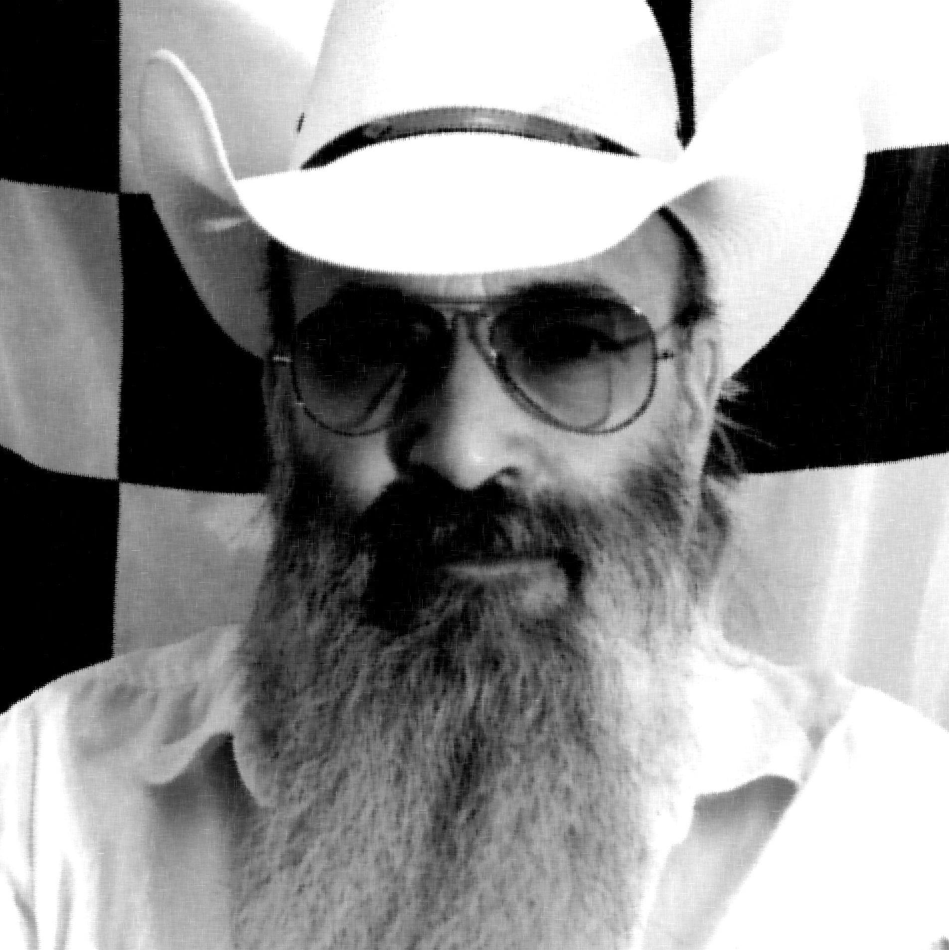 Profile of Brad Adamson