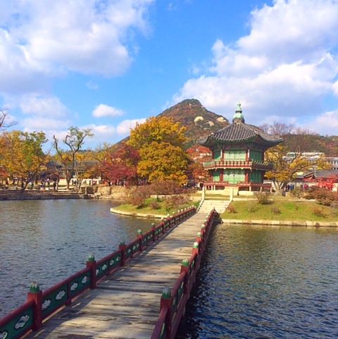 Profile of Sean Dejiacomo