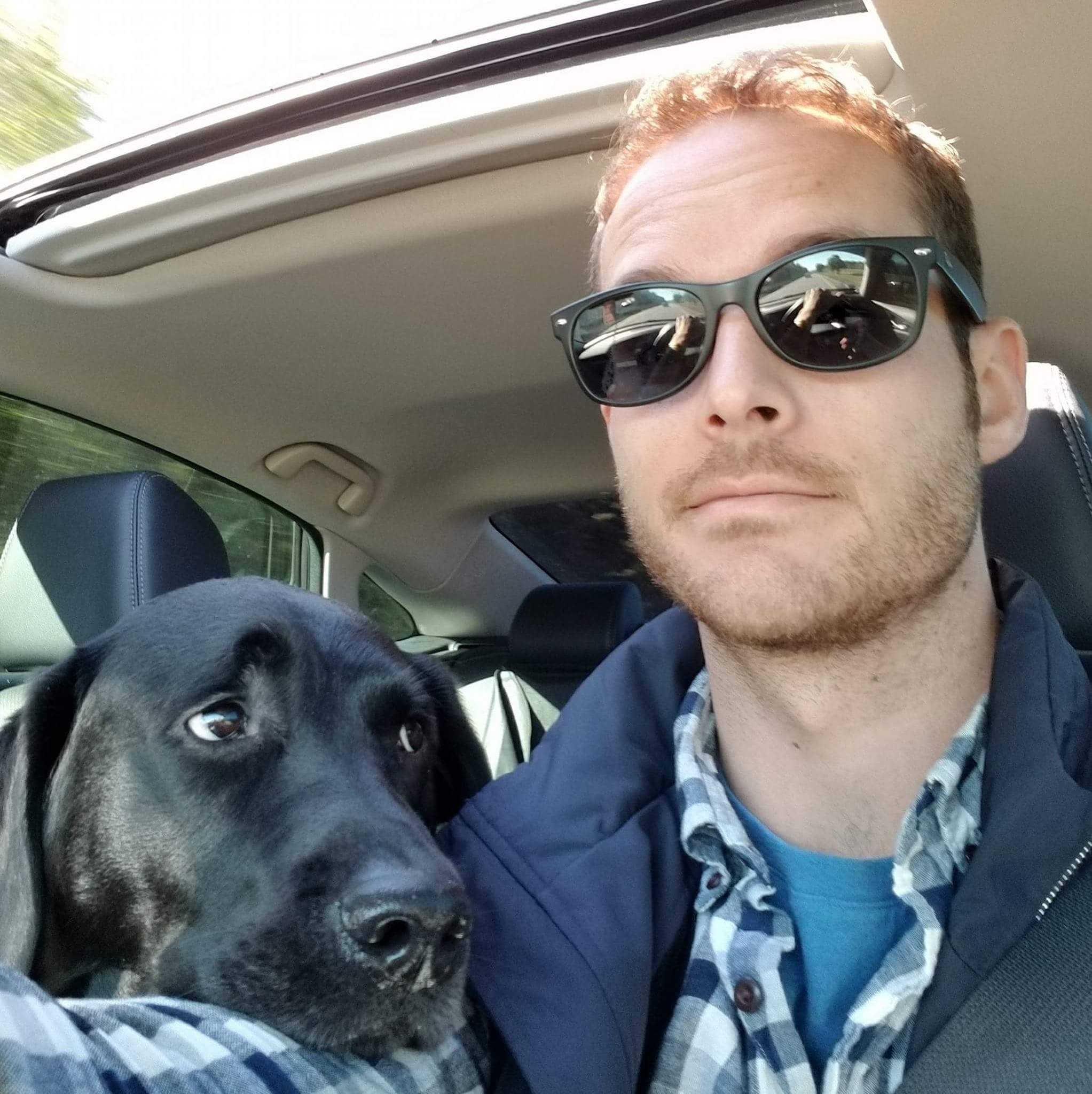 Profile of William Maelia