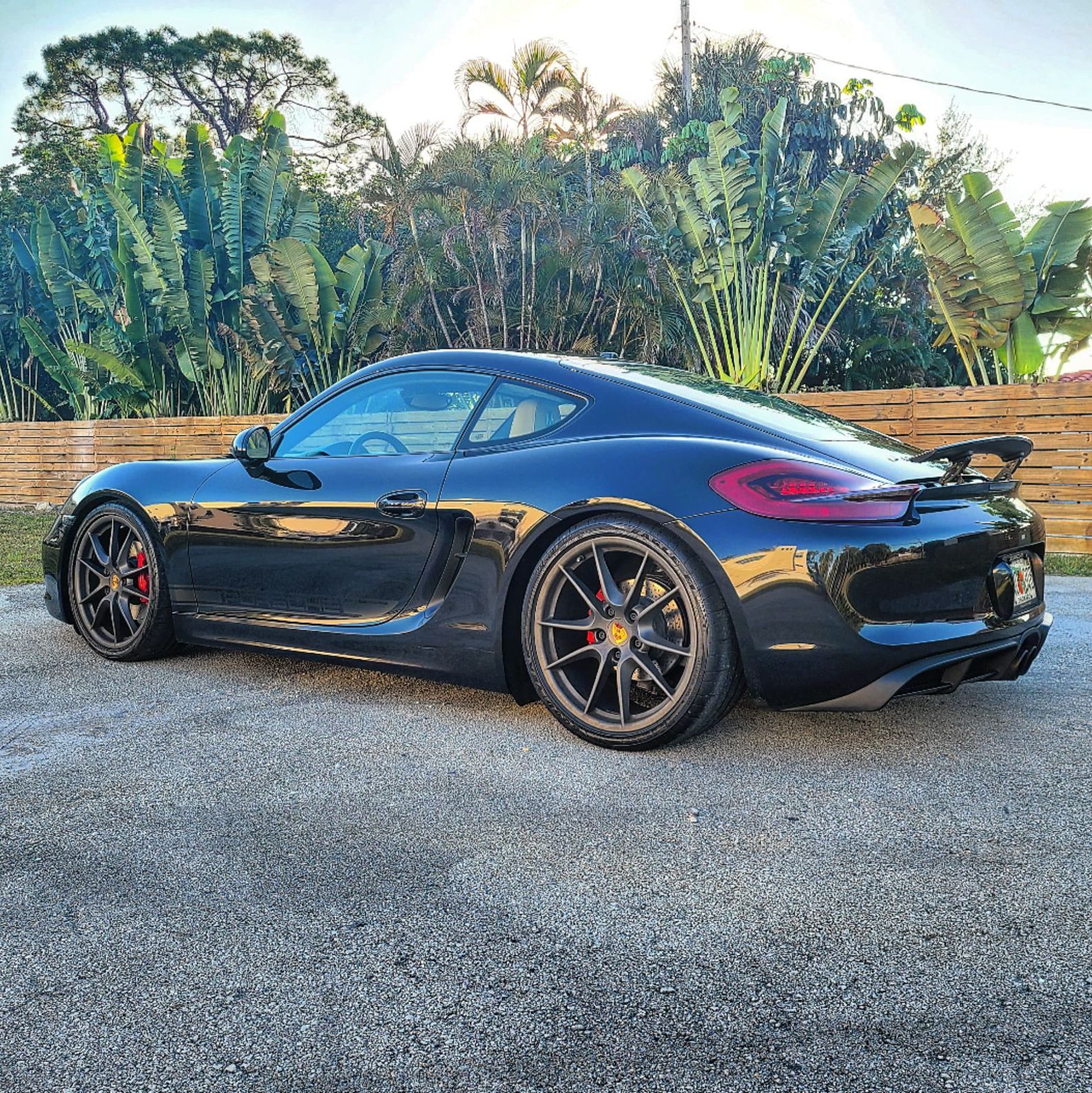 Profile of Drew Jones