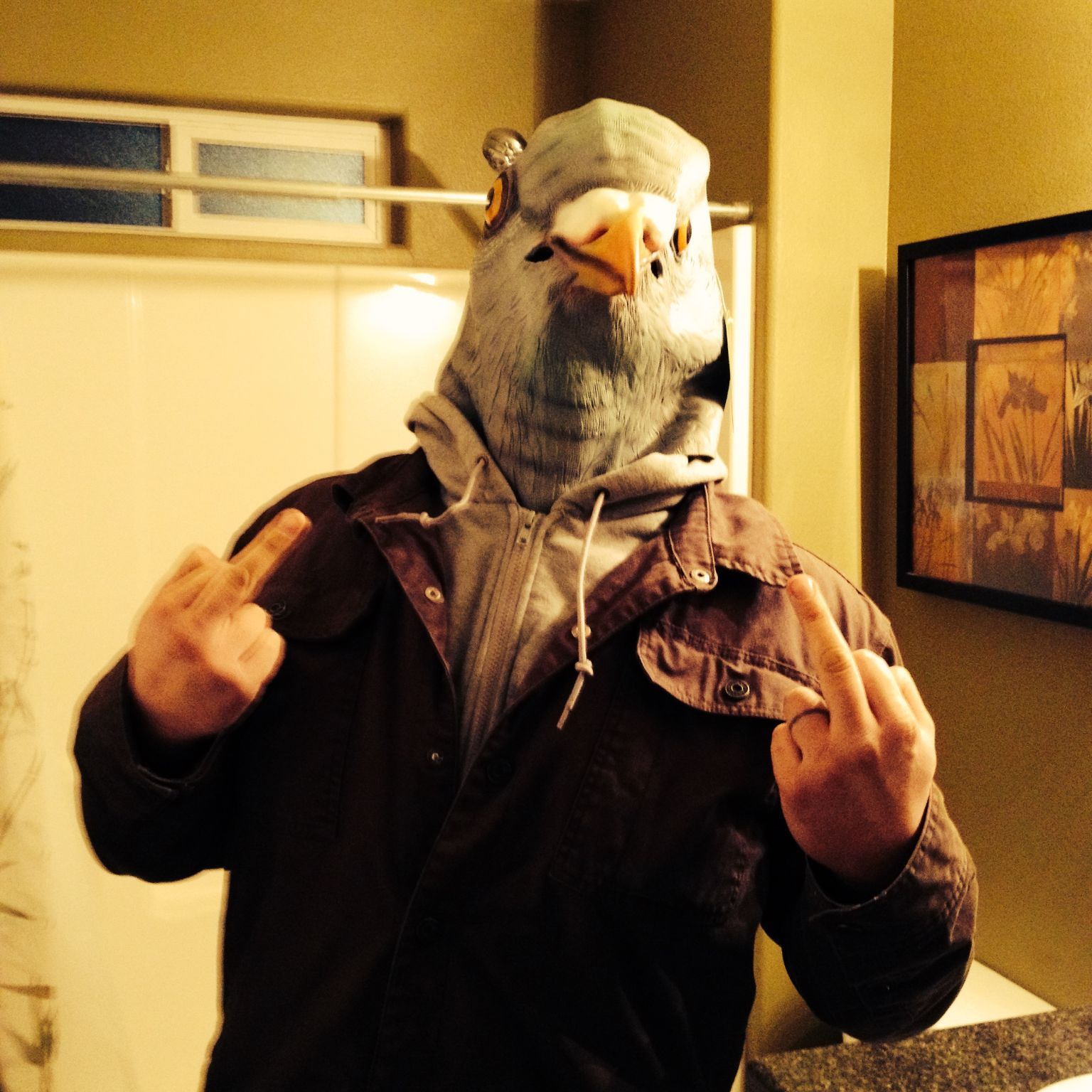 Profile of Josh Nelson